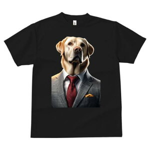 uh[go[ TVc fB[X t@  t  vg JWA 킢 lԗp h ̃fUC ʔ X[c uh[go[ lN^C |P