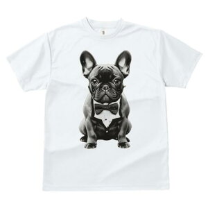 t`uhbO TVc fB[X t@  t  vg JWA 킢 lԗp h ̃fUC ʔ ^LV[h t`uhbO lN^C