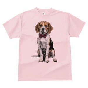 r[O TVc fB[X t@  t  vg JWA 킢 lԗp h ̃fUC ʔ lN^C r[O