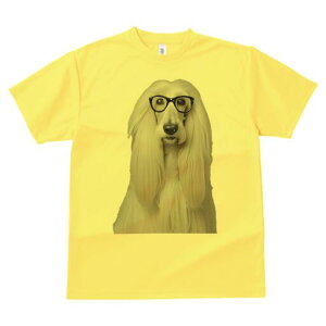 AtKnEh TVc fB[X t@  t  vg JWA 킢 lԗp h ̃fUC ʔ Kl AtKnEh