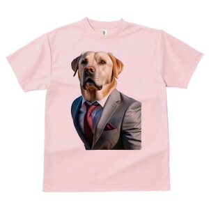 uh[go[ TVc fB[X t@  t  vg JWA 킢 lԗp h ̃fUC ʔ X[c uh[go[ lN^C |P