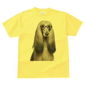 AtKnEh TVc fB[X t@  t  vg JWA 킢 lԗp h ̃fUC ʔ Kl AtKnEh