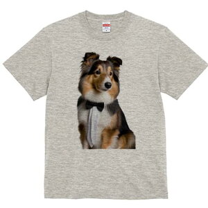 VFbghV[vhbO TVc fB[X t@  t  vg JWA 킢 lԗp h ̃fUC ʔ lN^C VFbghV[vhbO 