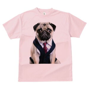 pO TVc fB[X t@  t  vg JWA 킢 lԗp h ̃fUC ʔ X[c pO lN^C rWlX