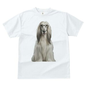 AtKnEh TVc Y LbY t@  t  vg JWA 킢 lԗp h ̃fUC ʔ Kl AtKnEh