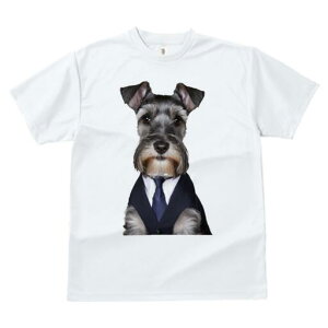 ~j`AViEU[ TVc fB[X t@  t  vg JWA 킢 lԗp h ̃fUC ʔ X[c ~j`AViEU[ lN^C rW