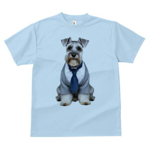 ~j`AViEU[ TVc fB[X t@  t  vg JWA 킢 lԗp h ̃fUC ʔ X[c ~j`AViEU[ lN^C rW