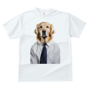 S[fgo[ TVc fB[X t@  t  vg JWA 킢 lԗp h ̃fUC ʔ CVc S[fgo[ lN^C