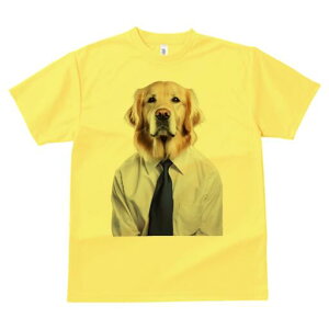 S[fgo[ TVc fB[X t@  t  vg JWA 킢 lԗp h ̃fUC ʔ CVc S[fgo[ lN^C