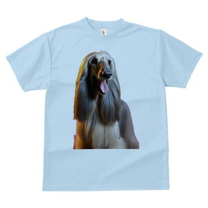 AtKnEh TVc fB[X t@  t  vg JWA 킢 lԗp h ̃fUC ʔ AtKnEh