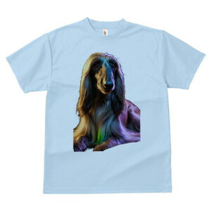 AtKnEh TVc fB[X t@  t  vg JWA 킢 lԗp h ̃fUC ʔ AtKnEh