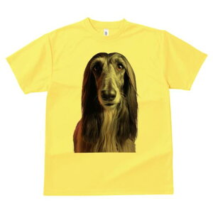 AtKnEh TVc fB[X t@  t  vg JWA 킢 lԗp h ̃fUC ʔ wAX^C AtKnEh e