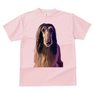 AtKnEh TVc fB[X t@  t  vg JWA 킢 lԗp h ̃fUC ʔ AtKnEh