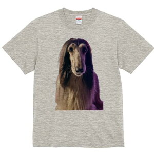 AtKnEh TVc fB[X t@  t  vg JWA 킢 lԗp h ̃fUC ʔ AtKnEh