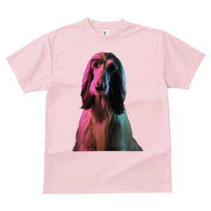 AtKnEh TVc fB[X t@  t  vg JWA 킢 lԗp h ̃fUC ʔ AtKnEh