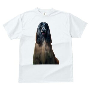 AtKnEh TVc fB[X t@  t  vg JWA 킢 lԗp h ̃fUC ʔ GKg AtKnEh  t@bV X