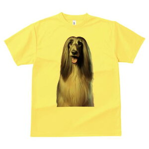 AtKnEh TVc fB[X t@  t  vg JWA 킢 lԗp h ̃fUC ʔ AtKnEh