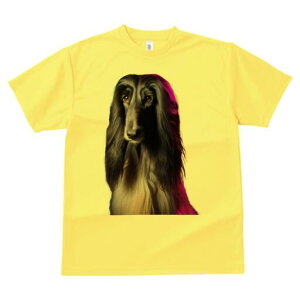 AtKnEh TVc fB[X t@  t  vg JWA 킢 lԗp h ̃fUC ʔ AtKnEh