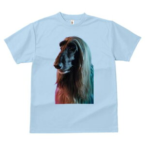 AtKnEh TVc fB[X t@  t  vg JWA 킢 lԗp h ̃fUC ʔ AtKnEh