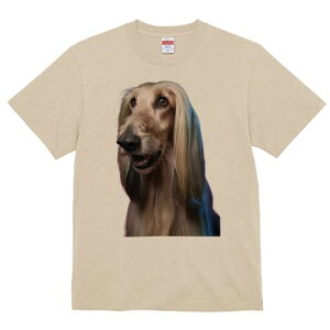 AtKnEh TVc fB[X t@  t  vg JWA 킢 lԗp h ̃fUC ʔ  AtKnEh 킢 e