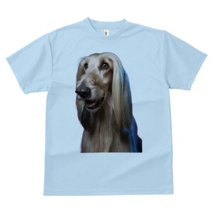 AtKnEh TVc fB[X t@  t  vg JWA 킢 lԗp h ̃fUC ʔ  AtKnEh 킢 e