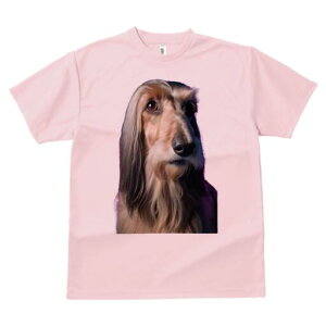 AtKnEh TVc fB[X t@  t  vg JWA 킢 lԗp h ̃fUC ʔ AtKnEh