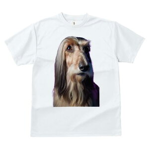 AtKnEh TVc fB[X t@  t  vg JWA 킢 lԗp h ̃fUC ʔ AtKnEh