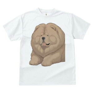 `E`E TVc fB[X t@  t  vg JWA 킢 lԗp h ̃fUC ʔ ӂӂ `E`E 킢  ʂ