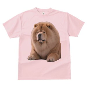 `E`E TVc fB[X t@  t  vg JWA 킢 lԗp h ̃fUC ʔ ӂӂ `E`E 킢 ʂ