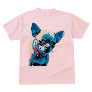 ` TVc fB[X t@  t  vg JWA 킢 lԗp h ̃fUC ʔ  `