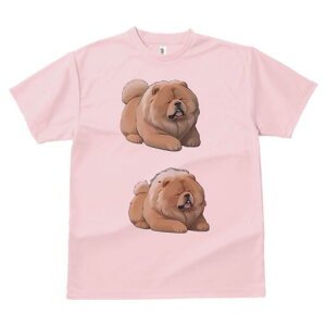 `E`E TVc fB[X t@  t  vg JWA 킢 lԗp h ̃fUC ʔ ӂӂ `E`E 킢  ʂ