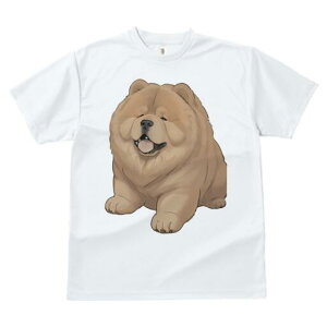 `E`E TVc fB[X t@  t  vg JWA 킢 lԗp h ̃fUC ʔ ӂӂ `E`E 킢  ʂ