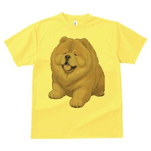 `E`E TVc fB[X t@  t  vg JWA 킢 lԗp h ̃fUC ʔ ӂӂ `E`E 킢  ʂ