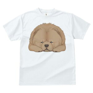 `E`E TVc fB[X t@  t  vg JWA 킢 lԗp h ̃fUC ʔ ӂӂ `E`E 킢  ʂ