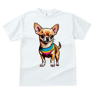 ` TVc fB[X t@  t  vg JWA 킢 lԗp h ̃fUC ʔ TVc ` 