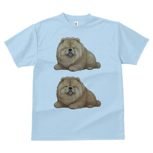 `E`E TVc fB[X t@  t  vg JWA 킢 lԗp h ̃fUC ʔ ӂӂ `E`E 킢  ʂ