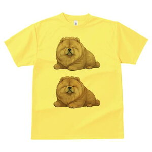 `E`E TVc fB[X t@  t  vg JWA 킢 lԗp h ̃fUC ʔ ӂӂ `E`E 킢  ʂ