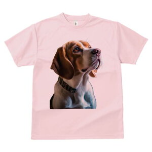 r[O TVc fB[X t@  t  vg JWA 킢 lԗp h ̃fUC ʔ  r[O