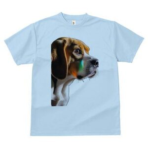 r[O TVc fB[X t@  t  vg JWA 킢 lԗp h ̃fUC ʔ ACh r[O 