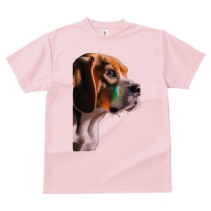 r[O TVc fB[X t@  t  vg JWA 킢 lԗp h ̃fUC ʔ ACh r[O 