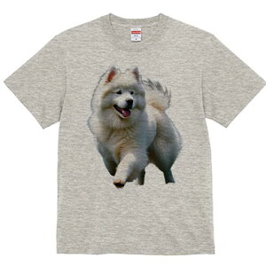 TGh TVc fB[X t@  t  vg JWA 킢 lԗp h ̃fUC ʔ ӂӂ TGh  Ί U