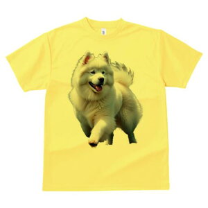 TGh TVc fB[X t@  t  vg JWA 킢 lԗp h ̃fUC ʔ ӂӂ TGh  Ί U