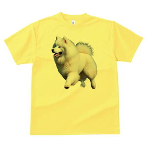 TGh TVc fB[X t@  t  vg JWA 킢 lԗp h ̃fUC ʔ TGh