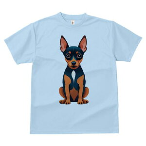 ~j`AsV[ TVc fB[X t@  t  vg JWA 킢 lԗp h ̃fUC ʔ TVc ~j`AsV[