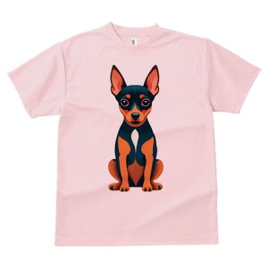 ~j`AsV[ TVc fB[X t@  t  vg JWA 킢 lԗp h ̃fUC ʔ TVc ~j`AsV[