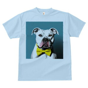 AJuhbO TVc fB[X t@  t  vg JWA 킢 lԗp h ̃fUC ʔ lN^C AJuhbO