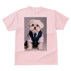 }`[Y TVc fB[X t@  t  vg JWA 킢 lԗp h ̃fUC ʔ X[c }`[Y lN^C CVc