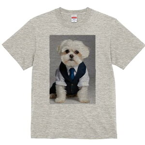 }`[Y TVc fB[X t@  t  vg JWA 킢 lԗp h ̃fUC ʔ X[c }`[Y lN^C CVc