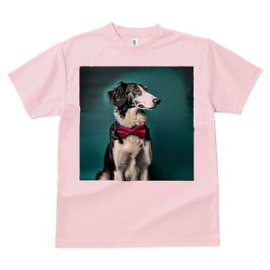 T[L TVc fB[X t@  t  vg JWA 킢 lԗp h ̃fUC ʔ lN^C T[L