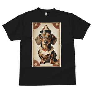 _bNXth TVc fB[X t@  t  vg JWA 킢 lԗp h ̃fUC ʔ T[JX _bNXth sG Xq ߑ